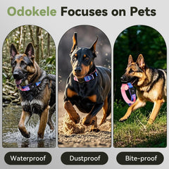 Odokele heavy-duty metal buckle keeps a secure fit for strong, adventurous dogs