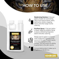 Applying Odorcide Cat Attack concentrate to carpet to target cat odors