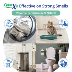 OdorXit deep-penetrating concentrate treated carpet fibers to neutralize embedded odors.