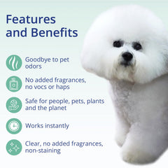 OdorXit penetrates carpet fibers to neutralize embedded odors.
