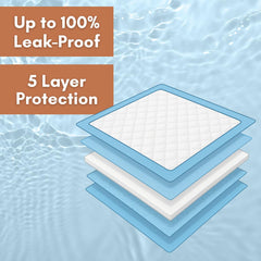 Oh Happy Pads five-layer leak-proof system demonstrates moisture containment