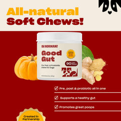Close-up of Oh Norman! probiotic chews showing texture and palatability.