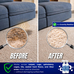 Oh Yuk Probiotics Dog Urine Stain Removal closeup demonstrates stain lifting and odor neutralization.