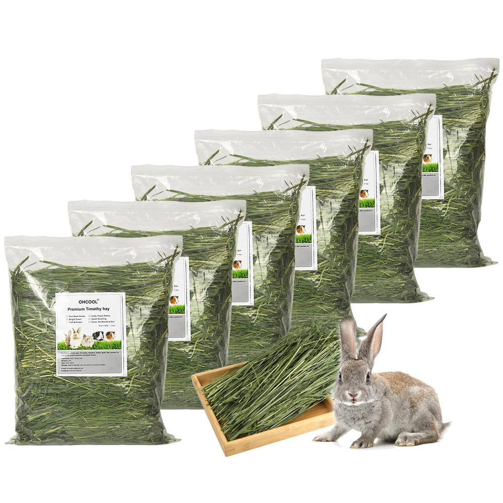 Ohcool Timothy Hay with soft leaves for rabbits and guinea pigs, promotes nibbling comfort.