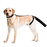 OHCOZZY dog tail protector with soft diving cloth for outdoor protection.