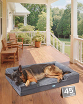 OhGeni orthopedic dog bed couch front view showing plush surface and bolsters for cozy rest.