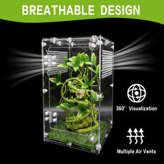 Oialonne jumping spider enclosure provides a clear 360Β° view for observation from all angles.