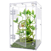 Oialonne jumping spider enclosure with front opening door for easy feeding and maintenance.