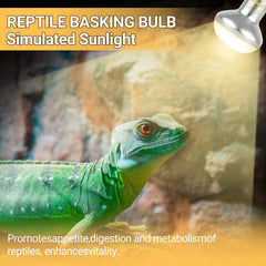 Oiibo night heat lamp glass design emphasizes durability and safe nocturnal heating
