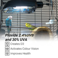 Oiibo AvianSun UVB 2.4% bulb enhances calcium metabolism and plumage.