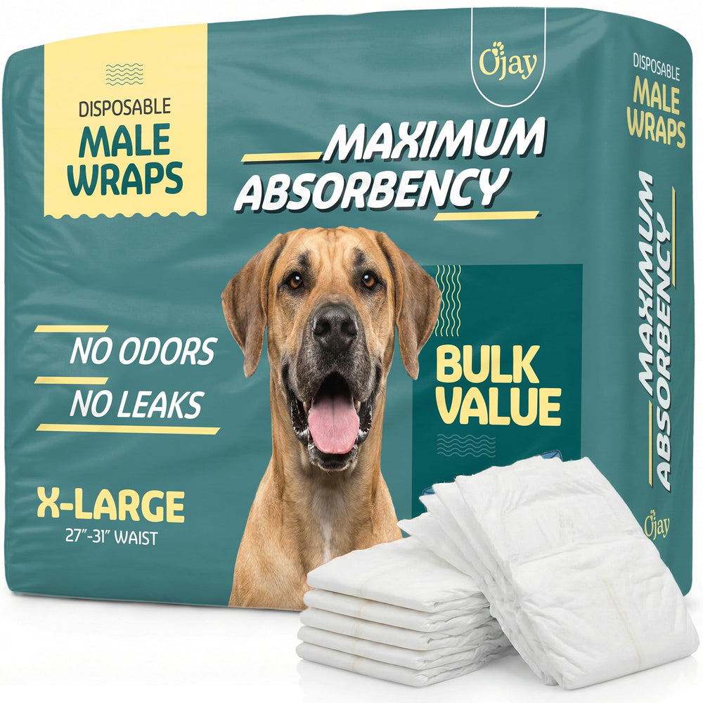 O'JAY maximum absorbency male dog diaper belly-wrap provides secure, comfortable protection.