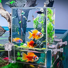 Okllen Negative-Pressure Tank offers a 360° view for clear observation of your fish