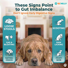 OL NELLY label closeup highlights 6 probiotic strains and prebiotic fibers for gut health.