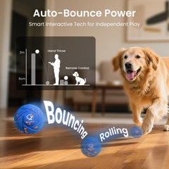 Ollapet Ball in bounce mode for energetic outdoor sprints