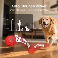 Ollapet ball in Bounce mode delivering high-energy outdoor play