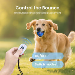 Ollapet Remote Control helps start play from up to 25 feet