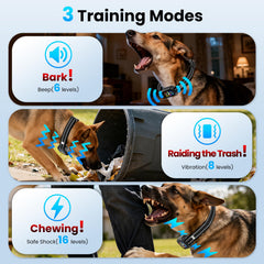 Ollapet voiceprint recognition identifies your dog's bark for accurate corrections.