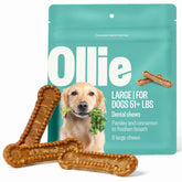 Ollie Dental Chews for large dogs delivering fresh breath after play.