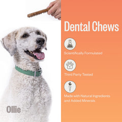 Ollie Dental Chews promoting teeth cleaning during daily chew sessions.