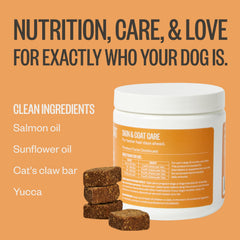 Ollie Dog Skin & Coat mix-in into meals to support a healthy coat.