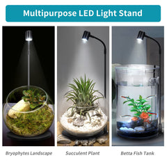 Oltraman USB-powered lamp connects via cable for reliable lighting in any setup.