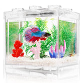 Oltraman small betta tank front view on desk with clear acrylic visibility.