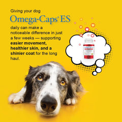 Omega Caps ES bottle label close-up showing vet formulated USA production.