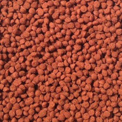 Omega One pellets close-up serving plate showing bottom-feeder feeding behavior and quick consumption.