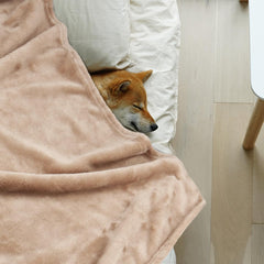 Onarway 4-pack dog blankets front view, versatile for bed, couch, or crate
