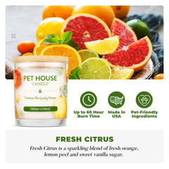 Close-up of plant-based wax candle by One Fur All highlighting clean burn