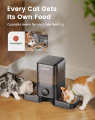 Oneisall feeder dispensing meals on schedule for two cats