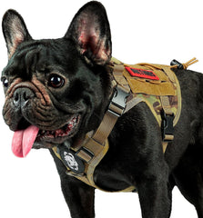 OneTigris dog harness camo front view showing secure front leash attachment for training