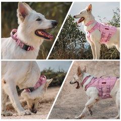 ONETIGRIS military dog collar nylon highlights rugged durability for outdoor use.