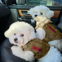 ONETIGRIS padded harness close-up highlighting comfort during extended outdoor sessions.