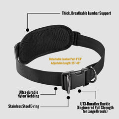 ONETIGRIS shock absorbing bungee leash smooths sudden pulls for better control.
