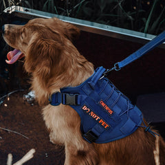 OneTigris tactical dog harness side view with MOLLE panel for accessories