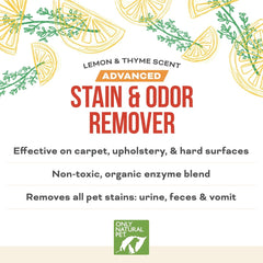 Only Natural Pet Advanced Dog Stain Odor Remover lemon-thyme scent, freshening the room.