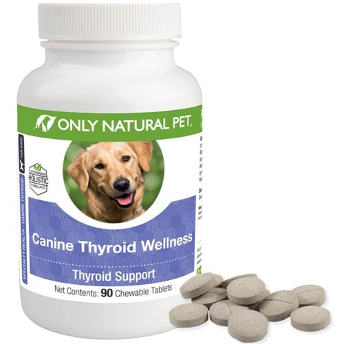 Only Natural Pet Canine Thyroid Wellness chew bottle—supports daily vitality and easy dosing.