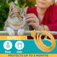 Only Natural Pet EasyDefense cat collar close-up buckle easy on and off for daily wear.