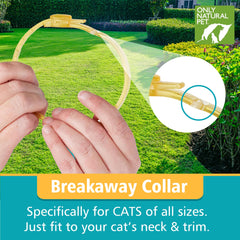 Only Natural Pet EasyDefense cat collar on cat in living room comfortable wear during daily activities.