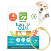 Only Natural Pet EasyDefense collar on dog's neck offering flea and tick protection