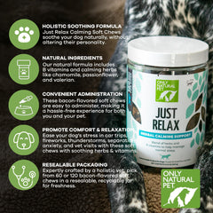 Dog bowl serving of Just Relax chews; easy daily calm support for pets.