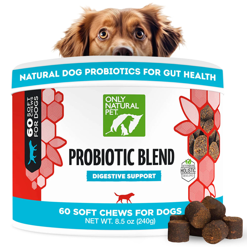 Only Natural Pet probiotic dog and cat soft chews bottle shows bacon flavor for gut support.