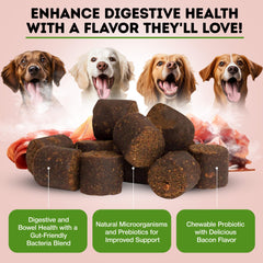 Only Natural Pet probiotic puppy and adult dogs chews illustrate versatile gut wellness.