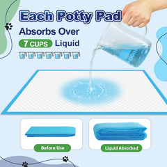 Oomicat XL soft top surface keeps pets comfortable and dry.
