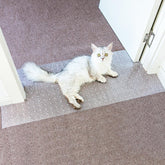 Oroonoko carpet protector doorway barrier, clear and protective for pet-related carpet wear.