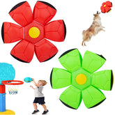 OOXYG Magic Bouncing Ball dog-play scene showcases interactive play opportunities