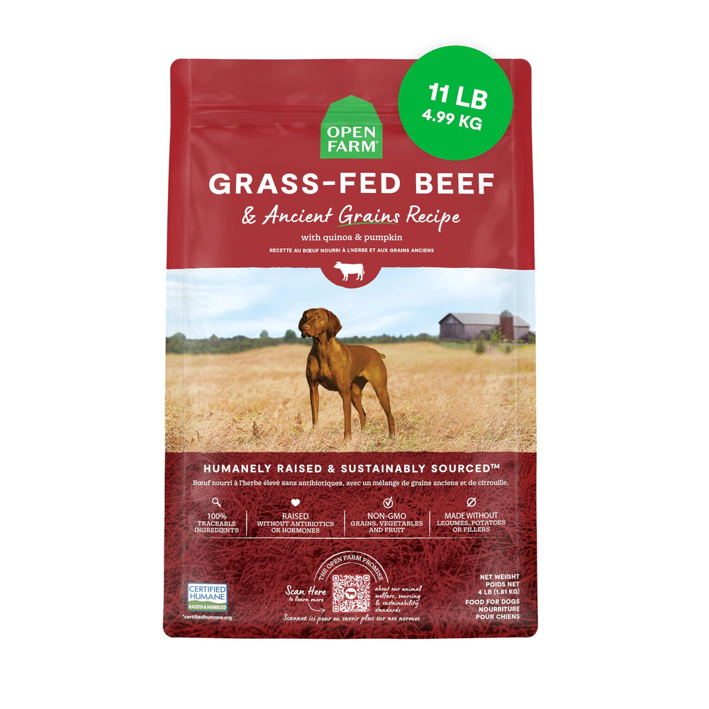 Open Farm ancient grains dry dog food bag close-up highlights protein-rich formula for dogs.