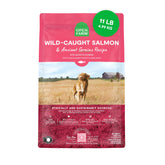 Open Farm Ancient Grains dry dog food bag with protein-rich salmon formula.