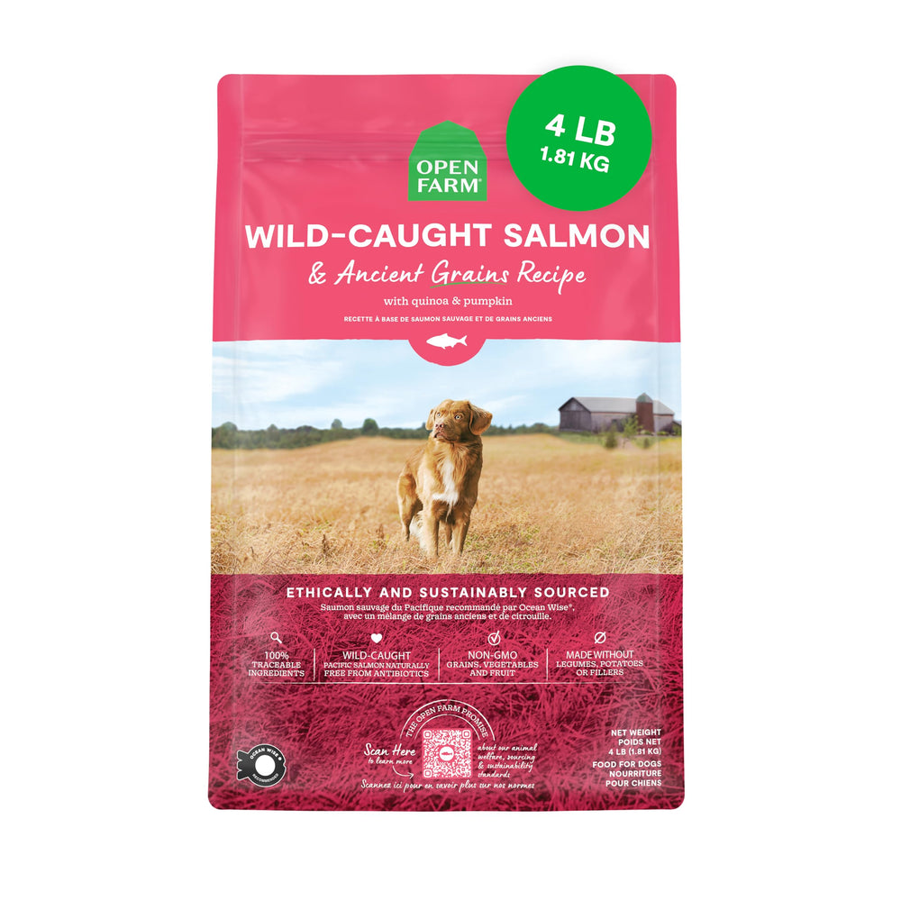 Open Farm Ancient Grains Dry Dog Food bag with protein-rich formula for active dogs